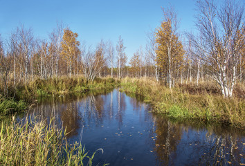 Fototapeta na wymiar Autumn in Siberia