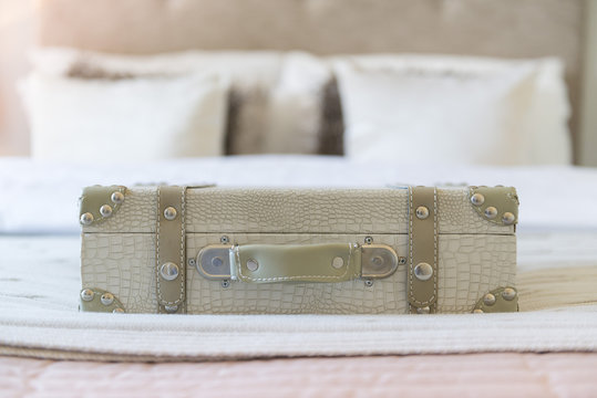 A fake snake skin case on a bed in a bedroom
