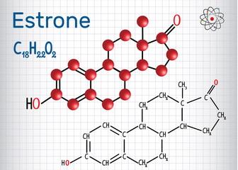 Estrone E1 (estrogen, minor female sex hormone ) - structural chemical formula and molecule model. Sheet of paper in a cage