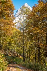 Fototapeta premium Valle Pesio, Cuneo, Piemonte, Italia