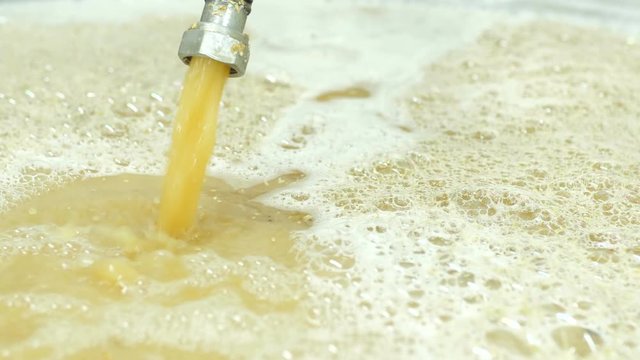 cooking barley grains for producing beer at the brewery.