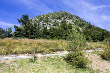 Fototapeta na wymiar Mont Gerbier de Jonc, a mountain of volcanic origin whose base contains three springs that are the source of the Loire, France's longest river