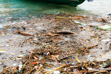 Pollution Problem - plastic, containers and other debris polluting the ocean and beach