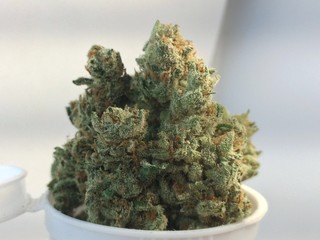 Marijuana Cannabis Flower Bud