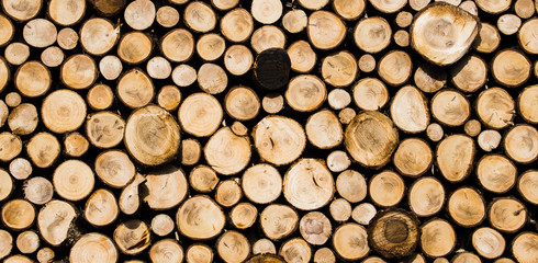 Freshly cut lumber background