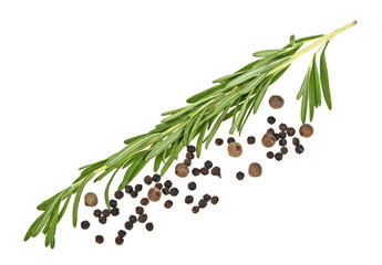 Fresh rosemary and pepper isolated on a white background
