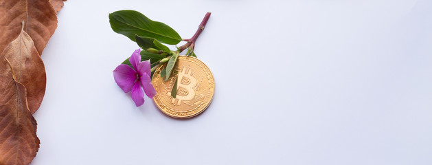 Bitcoin with flowers and leaves