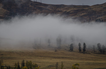 Lamar Valley in Fog. Yellowstone National Park