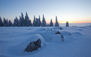 Blaue Stunde im Winter