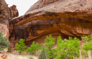 Morning Glory Bridge