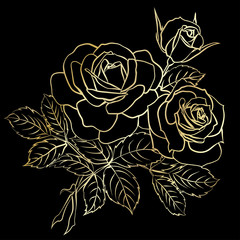 Golden Rose sketch
