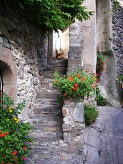 Fototapeta na wymiar Escalier fleuri et murs en pierre dans la rue d'un village touristique
