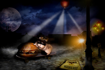 Dsungarischer Zwerghamster