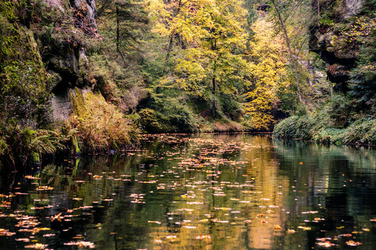 The Kamnitz Gorge, (German: Kamnitzklamm or German: Edmundsklamm) is a rocky ravine between Hřensko (Herrnskretschen), Mezn&aacute; and Srbsk&aacute; Kamenice in Bohemian Switzerland in the Czech Republic.