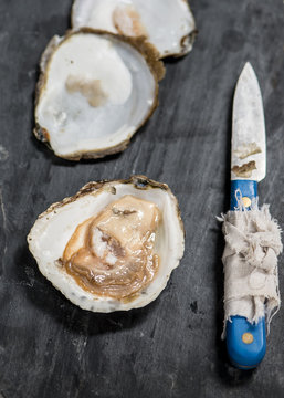 Oysters on blackboard with knife opener