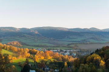 Summer landscape of young green forest with bright blue sky