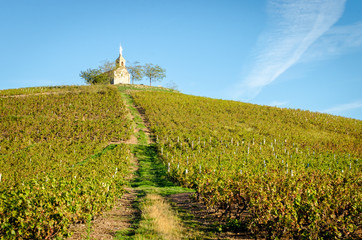 Fototapeta na wymiar Hill of Fleurie village