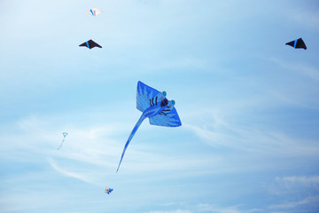 blue kite in the sky