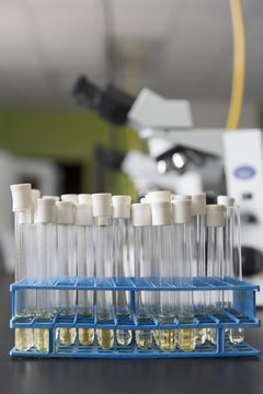 Test Tubes