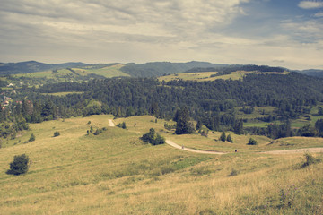 Fototapeta premium Krajobraz górski. Pieniny w Polsce. Letni krajobraz gór