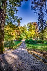 Obraz premium Autumn falling in the Lviv city park in Ukraine