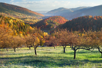 Temple above Yaremche