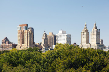 A view of NYC skyline from central park