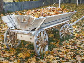 An old silver colored cart and fallen leaves.