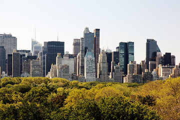 Obraz premium A view of NYC skyline from central park