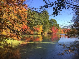 fall New England