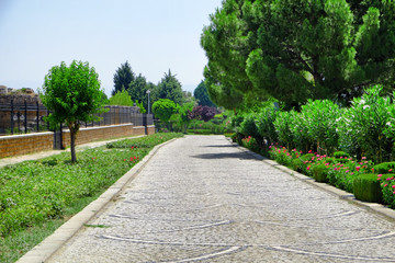 Beautiful view of pathway in park on sunny day