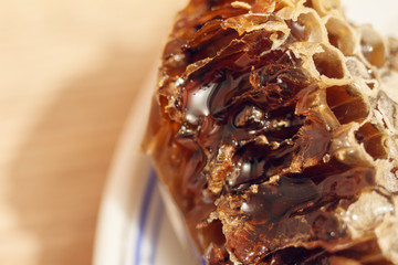 Honey comb with honey. Abstract Honeycomb pattern for design