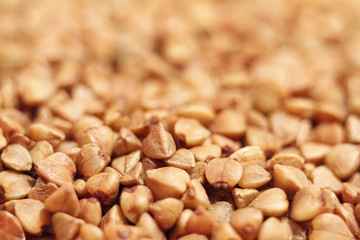 Buckwheat seeds. Closeup photo for background.