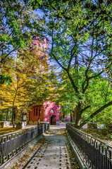 Autumn falling in the Lviv city park in Ukraine