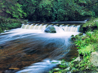 Mountain stream in green forest at Autumn time