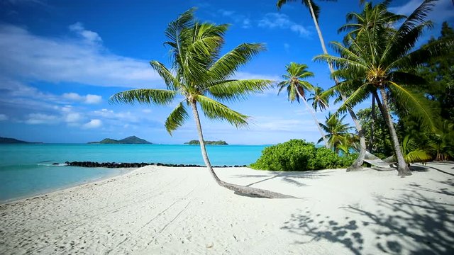 Paradise and dream beach on an island in Tahiti, French Polynesia. Perfect for travel and holidays under palm trees and the sun on the beach - Tourism and Vacations concept