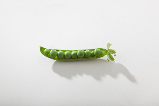 Pea pod