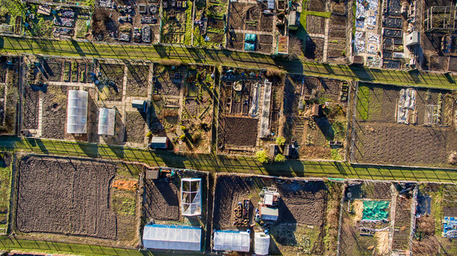 A group of communal vegetable gardens seen from above
