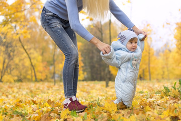 First steps of little kid in autumn park. Mother teaching her cute little son to walk.