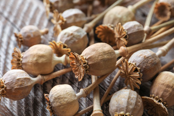 Dried poppy heads on wooden table, closeup