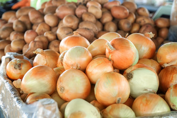 Assortment of fresh vegetables at market