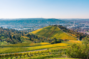 Fototapeta na wymiar Stuttgart Germany Grabkapelle Vineyards Autumn Fall Season Beautiful Landscape Farming Agriculture Wine