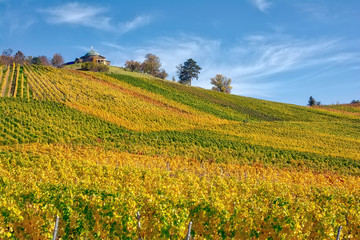 Stuttgart Germany Grabkapelle Vineyards Autumn Fall Season Beautiful Landscape Farming Agriculture...