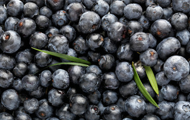Fresh acai berries as background