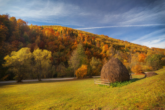 Autumn