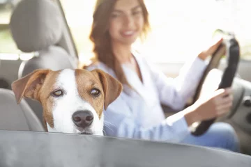 Papier Peint photo Lavable Voitures rapides Beautiful young woman with cute dog in car