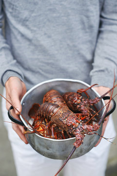 Fresh seafood daily catch