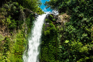 Fototapeta na wymiar beautiful waterfall in the rain forest
