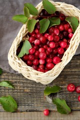Fresh red cranberries with leaves on the table 