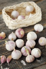 Fresh garlic in the basket on the table 